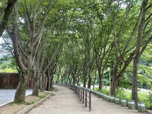 문경새재도립공원 총정리|입장료·오픈세트장·주차·관람시간 5 문경새재도립공원 사진5