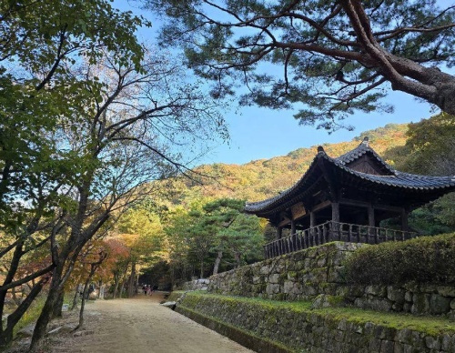 문경새재도립공원 총정리|입장료·오픈세트장·주차·관람시간 4 문경새재도립공원 사진4