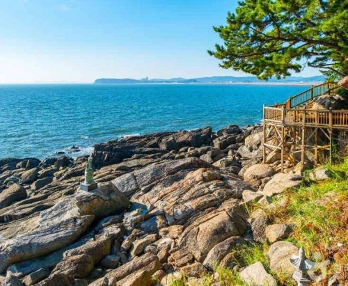 보령 죽도 상화원 총정리|운영시간·입장료·개방일·주차 1 상화원 사진1