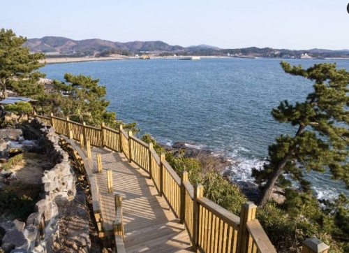 보령 죽도 상화원 총정리|운영시간·입장료·개방일·주차 3 상화원 사진3
