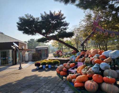 안산 바다향기수목원 총정리|운영시간·휴무일·볼거리·주차 1 바다향기수목원 사진1