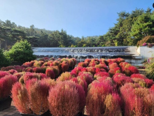 안산 바다향기수목원 총정리|운영시간·휴무일·볼거리·주차 2 바다향기수목원 사진2